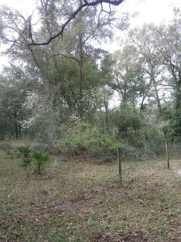 2410 NW 117TH PL, Branford, FL 32008