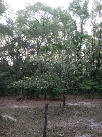 2410 NW 117TH PL, Branford, FL 32008