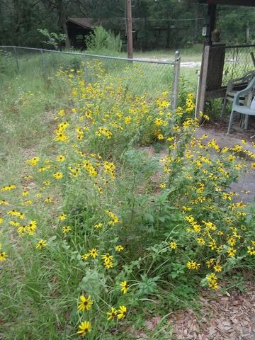 2410 NW 117TH PL, Branford, FL 32008