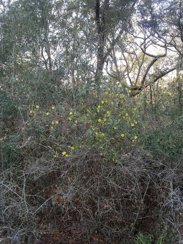 2410 NW 117TH PL, Branford, FL 32008