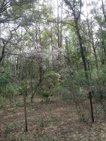 2410 NW 117TH PL, Branford, FL 32008