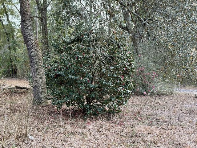 2410 NW 117TH PL, Branford, FL 32008