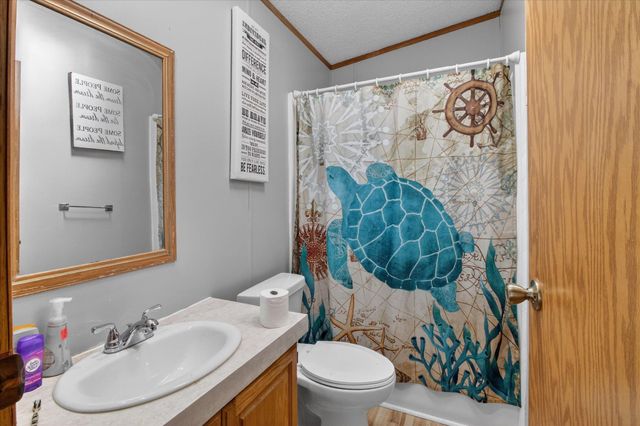 4537 N Caris Road, Ferris Twp, MI 48829