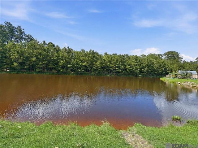 22616 Timber Ridge Dr, Denham Springs, LA 70726