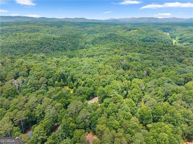 92 Bamby Lane, Ellijay, GA 30540