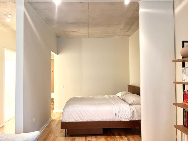 659 W Randolph Street 1217, Chicago, IL 60661