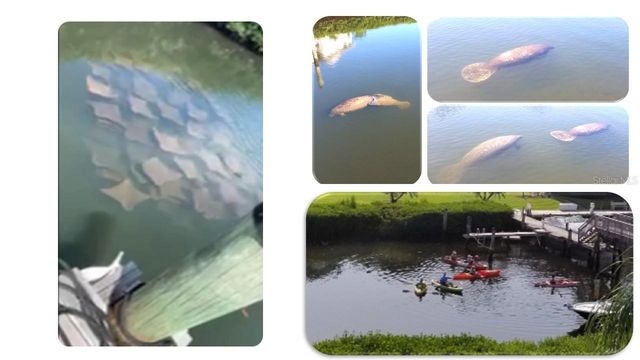 1806 MARINER DRIVE 318, Tarpon Springs, FL 34689