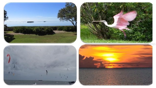 1806 MARINER DRIVE 318, Tarpon Springs, FL 34689