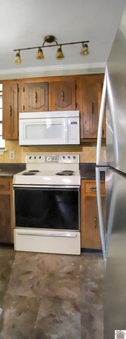 1311 S 10th St, Mayfield, KY 42066