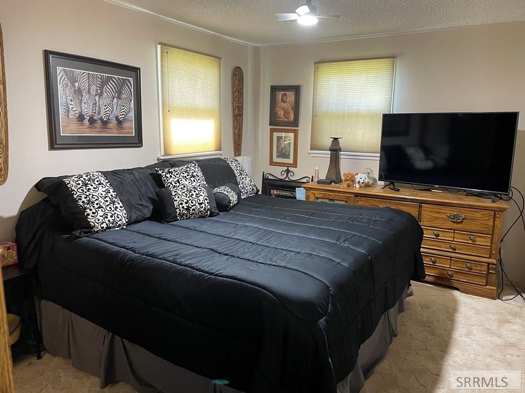 Image 20 of property listing at 240 E Valley Avenue, Challis, ID 83226