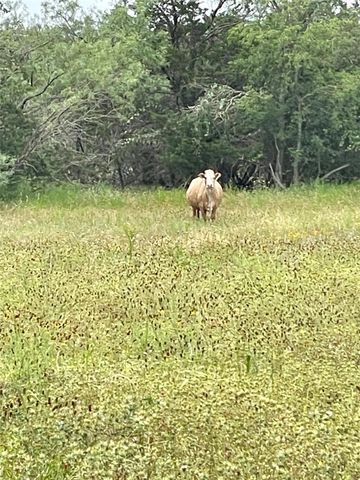 67 Pitchfork Ranch RD, Copperas Cove, TX 76522