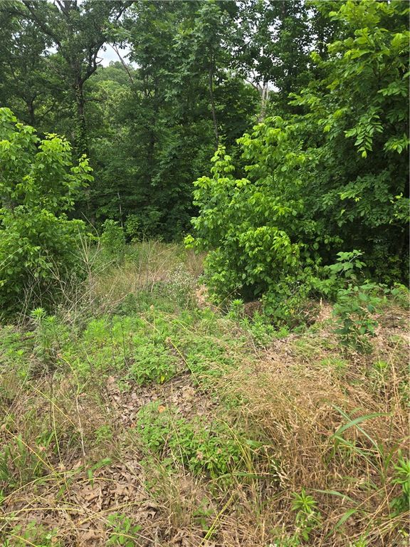 TBD Enfield Drive, Bella Vista, AR 72715