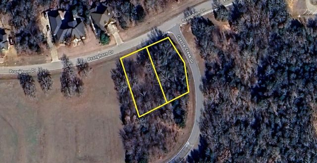 Lots 1B&2B Pronghorn Drive, Gordonville, TX 76245