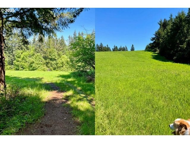 2678 DRIFT CREEK Rd Ne, Silverton, OR 97381