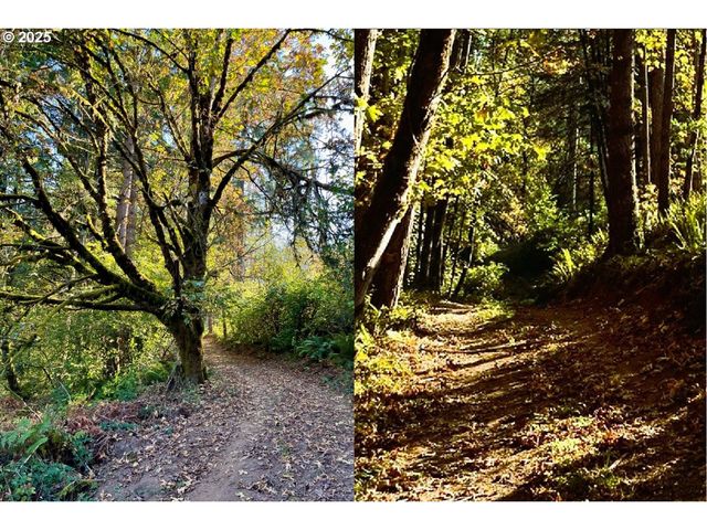 2678 DRIFT CREEK Rd Ne, Silverton, OR 97381