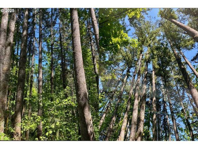 2678 DRIFT CREEK Rd Ne, Silverton, OR 97381