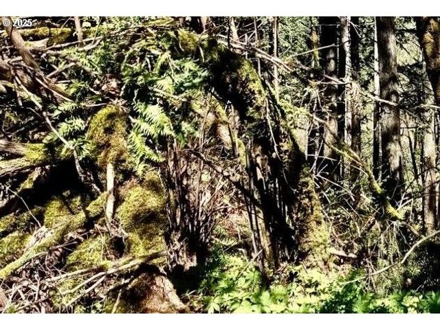 2678 DRIFT CREEK Rd Ne, Silverton, OR 97381