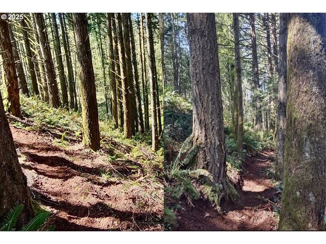 2678 DRIFT CREEK Rd Ne, Silverton, OR 97381