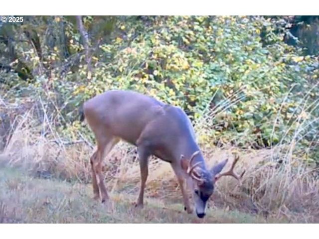 2678 DRIFT CREEK Rd Ne, Silverton, OR 97381