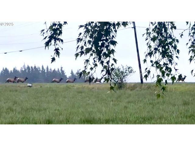 2678 DRIFT CREEK Rd Ne, Silverton, OR 97381