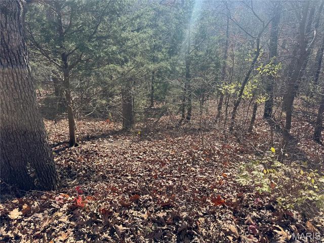 251 Shepard Lane, Lonedell, MO 63069