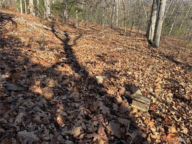 251 Shepard Lane, Lonedell, MO 63069