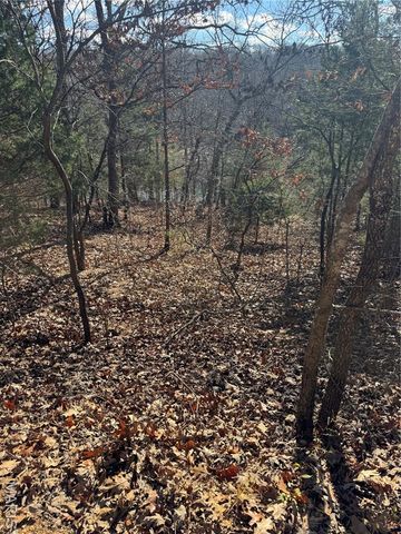 251 Shepard Lane, Lonedell, MO 63069