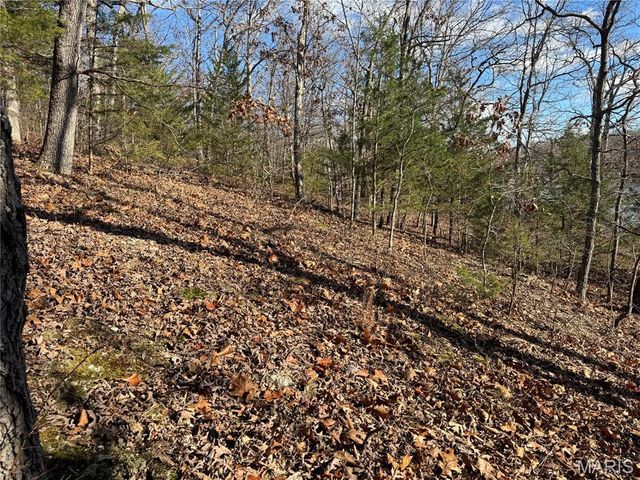 251 Shepard Lane, Lonedell, MO 63069