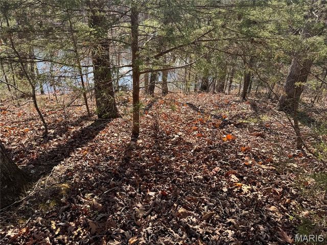 251 Shepard Lane, Lonedell, MO 63069