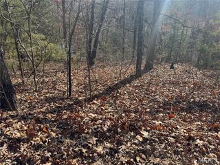 251 Shepard Lane, Lonedell, MO 63069