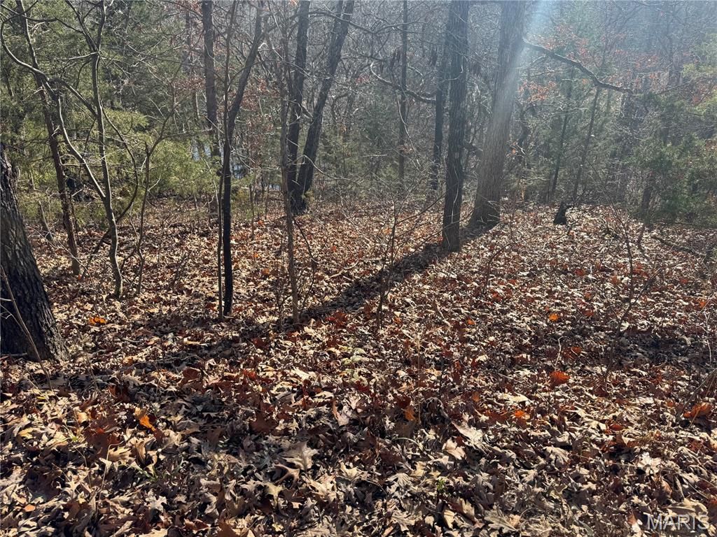 251 Shepard Lane, Lonedell, MO 63069