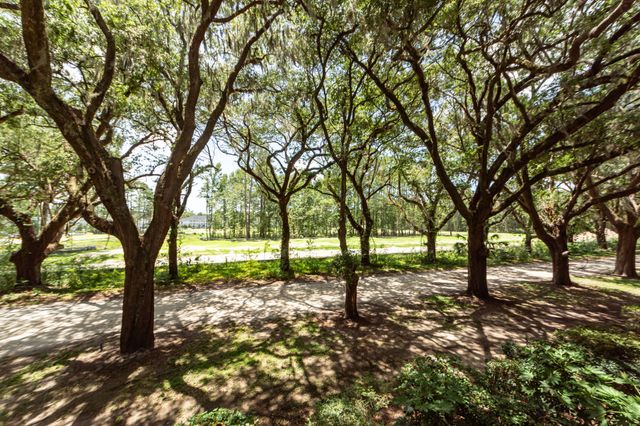60 Fenwick Hall Allee 227, Johns Island, SC 29455