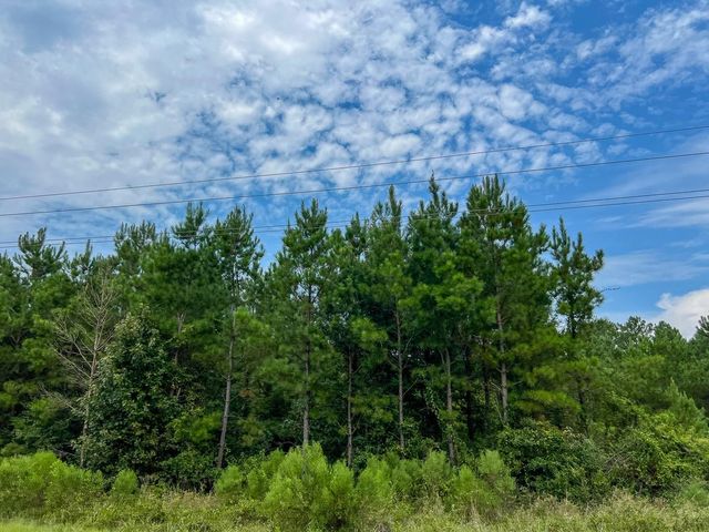 36 Highway 94 Road, Groveton, TX 75845