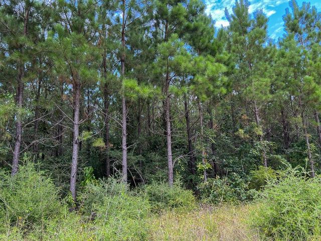 36 Highway 94 Road, Groveton, TX 75845