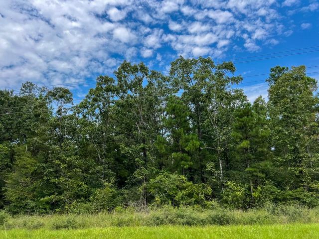 36 Highway 94 Road, Groveton, TX 75845