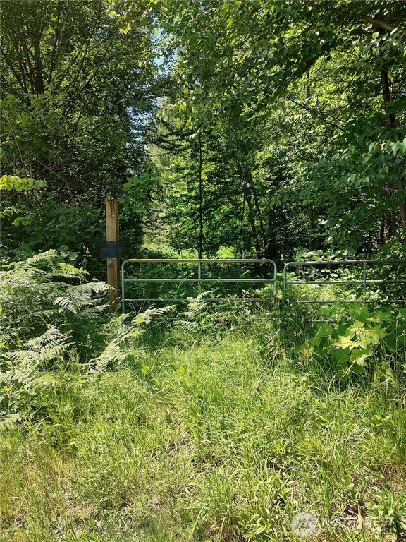0 Custer School Road, Custer, WA 98240