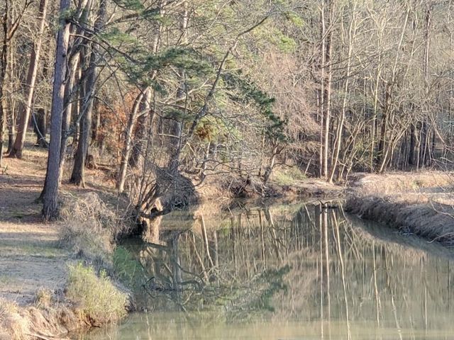 202 Beaver Den Drive, Coldspring, TX 77331