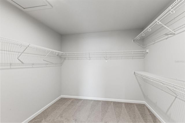 4221 CLOUD HOPPER WAY, Lutz, FL 33559