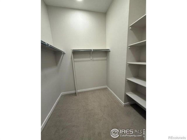 727 Kubat Lane B, Longmont, CO 80503