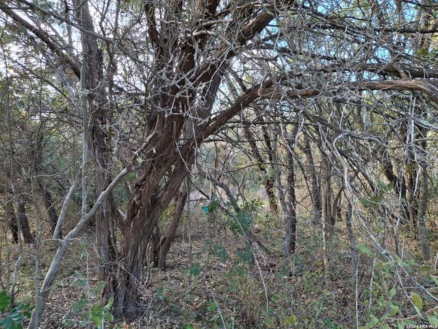 501 Eastview, Canyon Lake, TX 78133