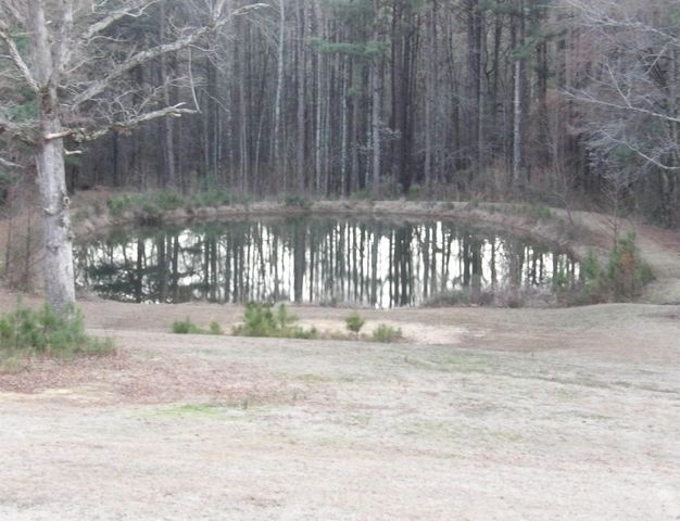 161 Windy Hills Lane, Monticello, AR 71655