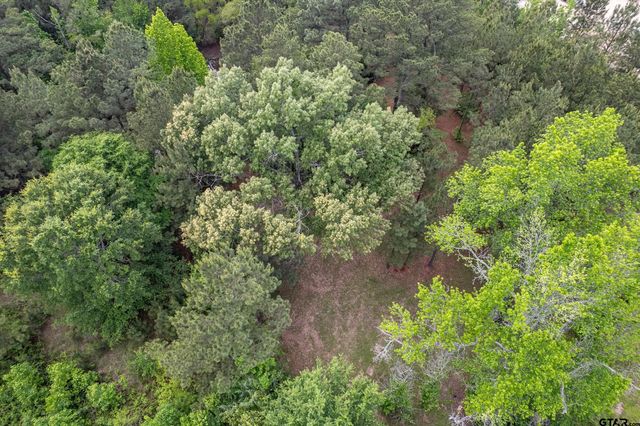 19314 State Highway 155 s, Flint, TX 75762