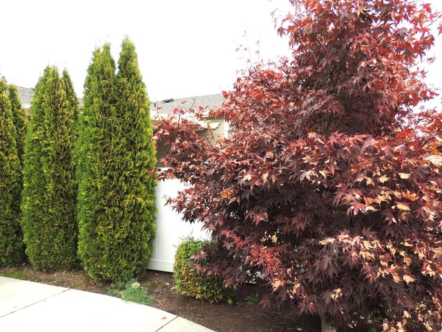 303 Kingsley Drive, Grants Pass, OR 97526