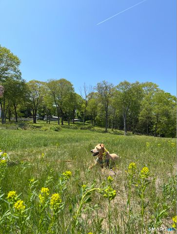 415 South Street, Litchfield, CT 06759