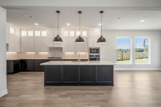 17202 Blooming Suzans Lane, Conroe, TX 77302