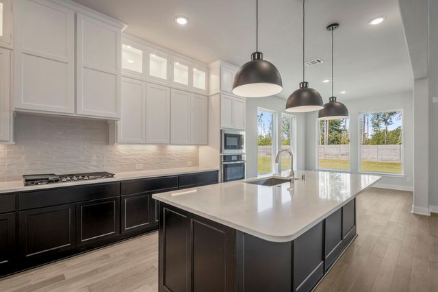 17202 Blooming Suzans Lane, Conroe, TX 77302