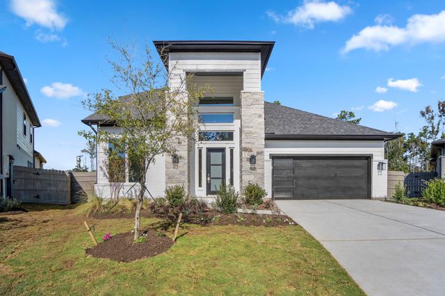17202 Blooming Suzans Lane, Conroe, TX 77302