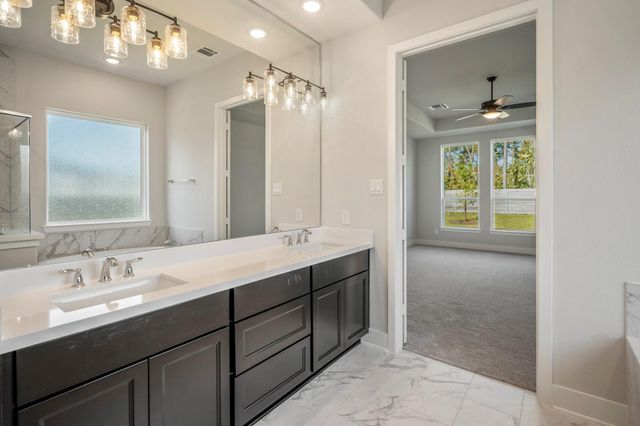 17202 Blooming Suzans Lane, Conroe, TX 77302