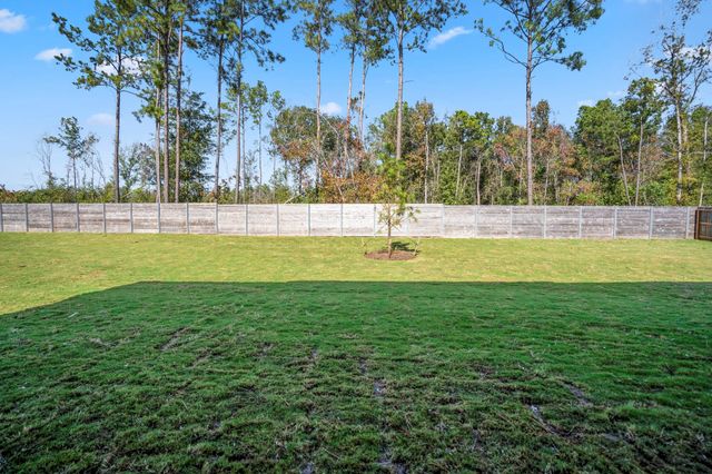 17202 Blooming Suzans Lane, Conroe, TX 77302