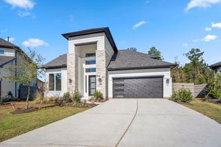 17202 Blooming Suzans Lane, Conroe, TX 77302